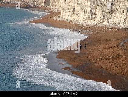 Ein paar zu Fuß einen Hund auf Chesil Beach. Stockfoto