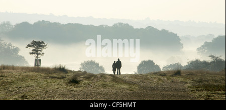 Genießen Sie am frühen Morgen die Menschen gehen in Richmond Park. Stockfoto