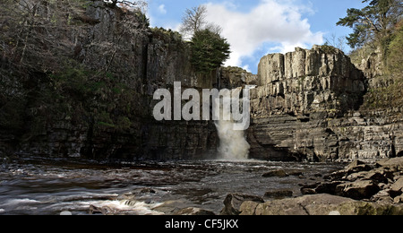 Hohe Kraft, einer der höchsten Wasserfälle in Großbritannien auf dem River Tees, eine sehr beliebte Touristenattraktion Stockfoto