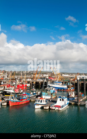 Angelboote/Fischerboote vertäut im Hafen von Newlyn. Stockfoto