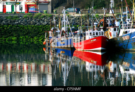 Boote vertäut im Hafen von Howth in Dublin. Stockfoto