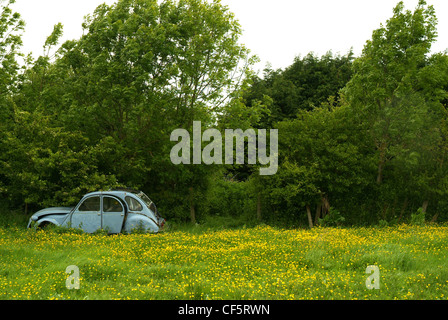 Eine alte rostige Citroen 2CV in eine Hecke in Henfield aufgegeben. Stockfoto