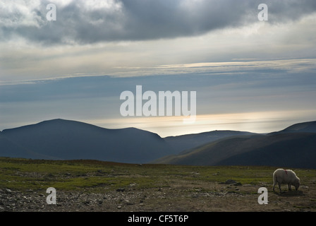 Blick von einem Zug auf der Snowdon Mountain Railway nähert sich den Gipfel des Mount Snowdon. Stockfoto