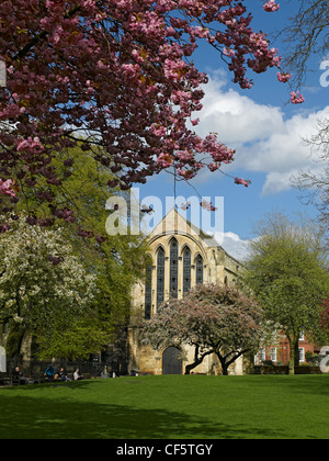 Deans Park und Münster-Bibliothek im Frühjahr. Stockfoto