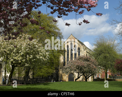 Deans Park und Münster-Bibliothek im Frühjahr. Stockfoto