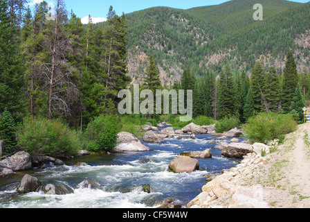 Taylor-Fluss in der Nähe von Gunnison und Crested Butte, Colorado Stockfoto