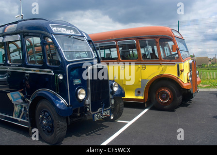 Historische Busse aus den 50er und 60er Jahren auf dem Display an den 90. Jahrestag Tag der offenen Tür in Epsom Coaches. Stockfoto