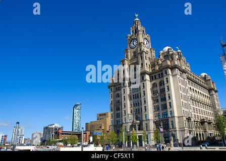 Das Royal Liver Building auf dem Molenkopf in Liverpool. Es ist eine der drei Grazien Liverpools. Stockfoto