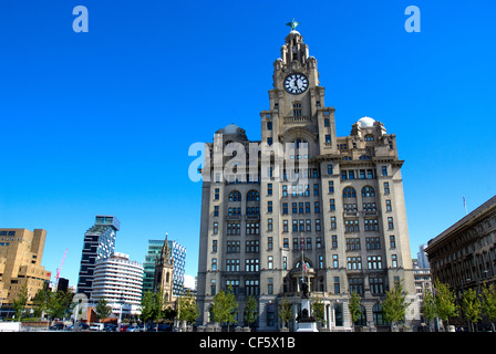 Das Royal Liver Building auf dem Molenkopf in Liverpool. Es ist eine der drei Grazien Liverpools. Stockfoto