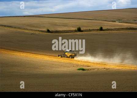 Mähdrescher bei der Arbeit in einem Feld in der Nähe von Arundel. Stockfoto