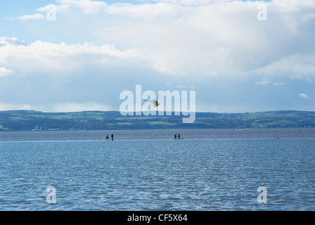 Menschen zu Fuß entlang der Grenze zu West Kirby Marine Lake, einen künstlichen Salzwassersee mit Blick auf die Dee Mündung und Welsh Stockfoto