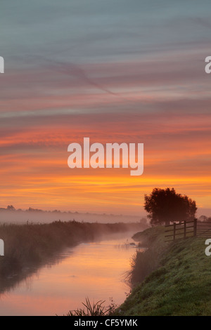 Ein nebliger Sonnenaufgang über dem Fluss Brue. Stockfoto