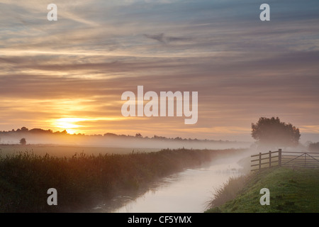 Ein nebliger Sonnenaufgang über dem Fluss Brue. Stockfoto