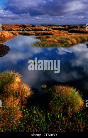 Weiten Torfmoor auf Black Hill. Die Gipfelregion des Black Hill von Holme Moss nach Westen ist eine strukturlose weite Moorlandschaften Stockfoto