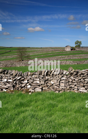 Feld-Gehäuse und Scheune am Litton in der Peak District National Park. Stockfoto