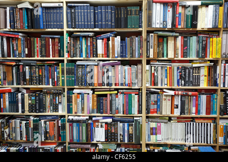 Privatbibliothek. Wand aus Regalen mit Büchern gefüllt. Stockfoto