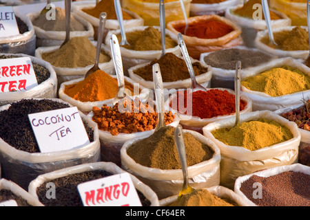 eine Auswahl verschiedener Gewürze zum Kochen Stockfoto