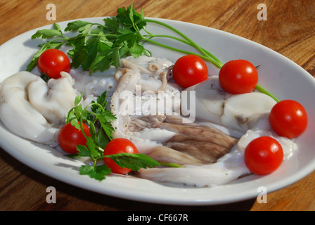 frische mediterrane fish.italian Oktopus Stockfoto