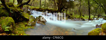 Ein Blick auf Allt Coire Eoghainne Gebirgsbach. Stockfoto