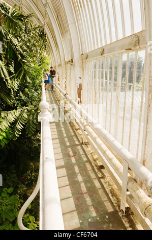 Innenraum des Palmenhauses, die wichtigsten erhaltenen viktorianischen Eisen und Glas Bauwerk der Welt, in Kew Gardens. Stockfoto