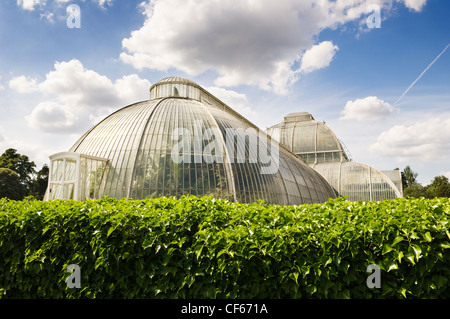 Das Palmenhaus, die wichtigsten erhaltenen viktorianischen Eisen und Glas Struktur in der Welt, in Kew Gardens. Stockfoto