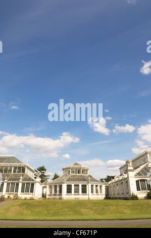 Die gemäßigten Haus, größte erhaltene viktorianische Gewächshaus der Welt, in Kew Gardens. Stockfoto