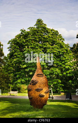 Eine große Weide Skulptur eines Banksia Samens von Tom Hare in Kew Gardens. Stockfoto