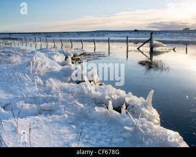 Hart gefrorenen Rasen bei Sandy Loch auf Shetland. Stockfoto