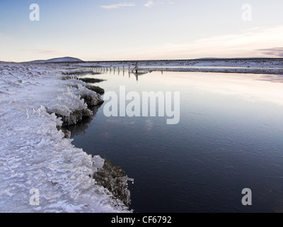 Hart gefrorenen Rasen bei Sandy Loch auf Shetland. Stockfoto