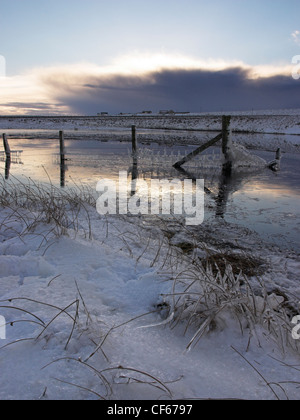 Hart gefrorenen Rasen bei Sandy Loch auf Shetland. Stockfoto