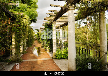 Der georgische Pergola auf Hampstead Heath, in der Abendsonne. Stockfoto