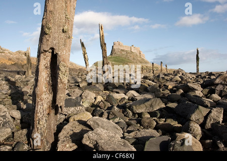 Ein Blick in Richtung Lindisfarne Castle. Nach der Auflösung der englischen Klöster durch Heinrich VIII. wurde das Krongut Schloss erbaut. Stockfoto