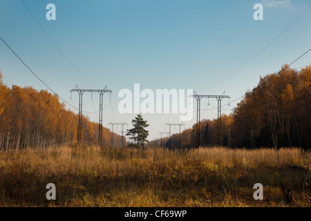 Elektrische Leitung im herbstlichen Wald. Anzahl der stützen oder Cocktail. Strom. Stockfoto