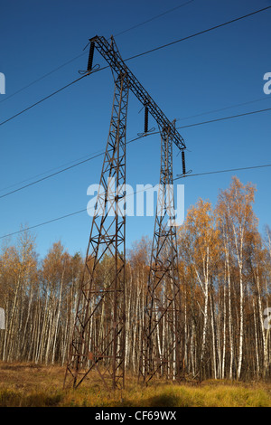 Elektrische Leitung im herbstlichen Wald. Anzahl der stützen oder Cocktail. Strom. Stockfoto