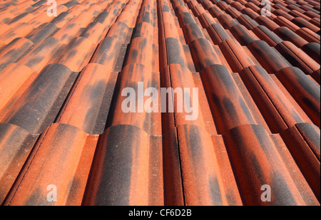 Alte Terracotta Ziegeldach, detaillierte Struktur Blick entlang der Fliesen Stockfoto