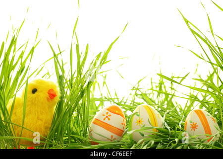 Oster-Deko mit Küken und Eiern auf frischen grünen Rasen Stockfoto