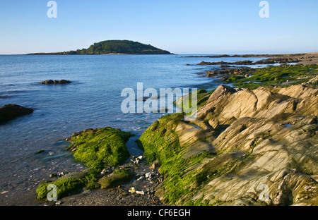 Looe Insel mit Wetter getragen Felsen im Vordergrund. Stockfoto