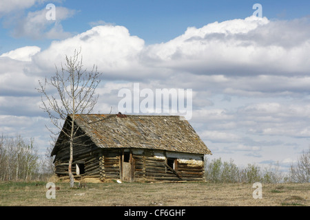 ALTE GEBÄUDE.  Alte verlassene Blockhaus Stockfoto