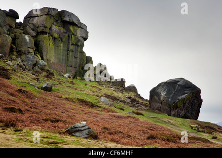 Kuh und Kalb Stockfoto
