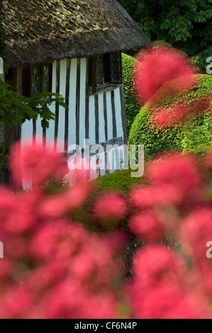 Blumen vor Touristenort geistlichen Haus. Ost-Sussrx England Stockfoto