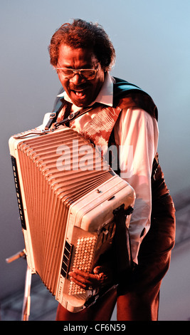 Buchweizen Zydeco auf Voodoo-Festival 2010 in New Orleans spielt. Stockfoto