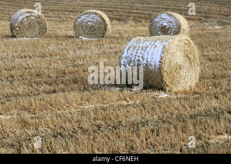 LANDWIRTSCHAFT IN DER KANADISCHEN PRÄRIE KORN-LANDWIRTSCHAFT.  Runde Ballen Stroh bedeckt teilweise mit Schnee. Stockfoto