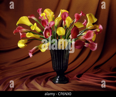 Gelb und lila Arum Lilien in grüne Vase sitzt auf einem drapierten braun Material.  Horizontale Farbfoto Stockfoto