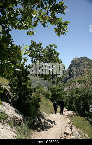Wandern in der Nähe von Arsameia, Schlafwagen, Adiyaman, Südosten der Türkei Stockfoto