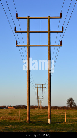 Eine Reihe von Telegraph Beiträge in der Colchester-Landschaft, wenn die Sonne untergeht Stockfoto