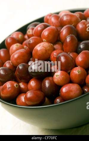 Neue Jahre Resolutionen gesunde Entscheidungen Nahaufnahme Schuss einer schwarz gefärbten Schale voller Preiselbeeren auf einem einfarbigen Hintergrund platziert Stockfoto