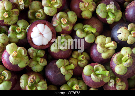 Mangostan-Königin der tropischen Früchte Stockfoto