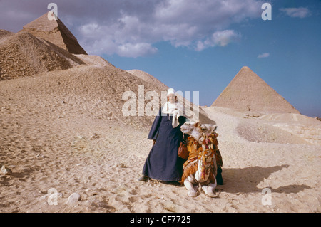 Ägyptische Führer und Kamele bei den Pyramiden, Gizeh, Kairo, Ägypten, Nordafrika Stockfoto