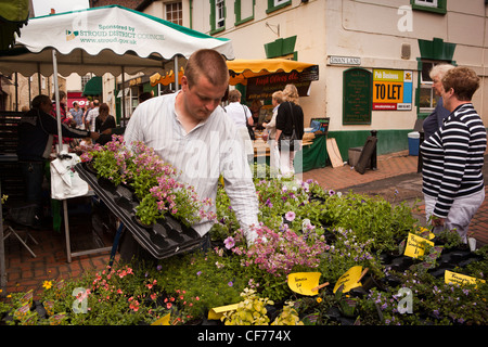 UK, Gloucestershire, Stroud, Swan Lane, Bauernmarkt Marktstand Blumen unter Swan Inn Zeichen Stockfoto