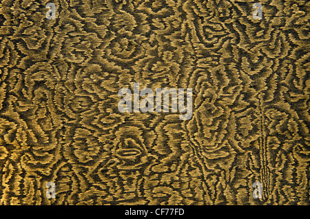 Alten Grunge alte Papier Textur Muster Closeup Hintergrund Kulisse. Stockfoto